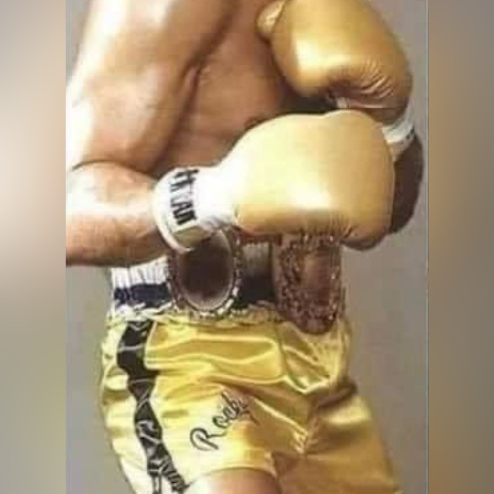 NWOT Vintage Rocky Italian Stallion Logos Gold Boxing Ring Robe and Shor… - Picture 4 of 11
